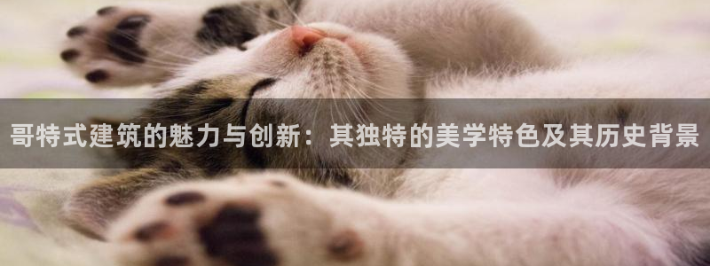 新航娱乐有限公司