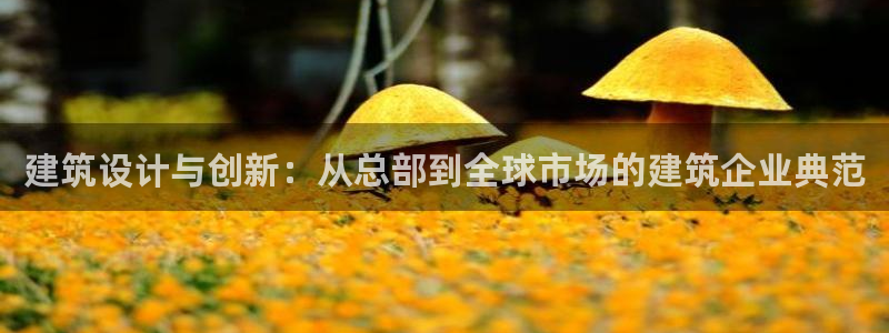 新航娱乐公司问题解决