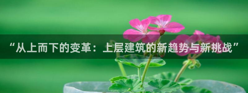 新航娱乐扣款