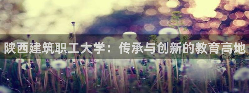 新航新客舱机上娱乐银