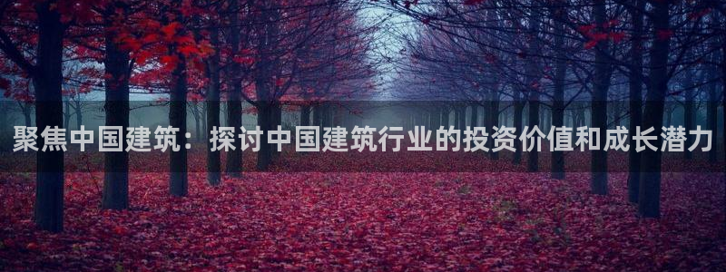 新航娱乐的最新动态报道