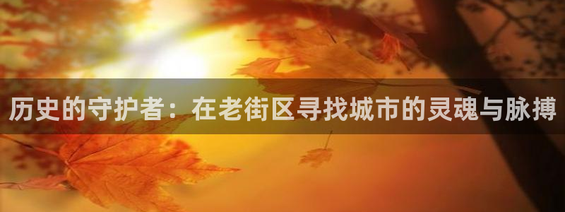 新航娱乐传媒招聘信息网