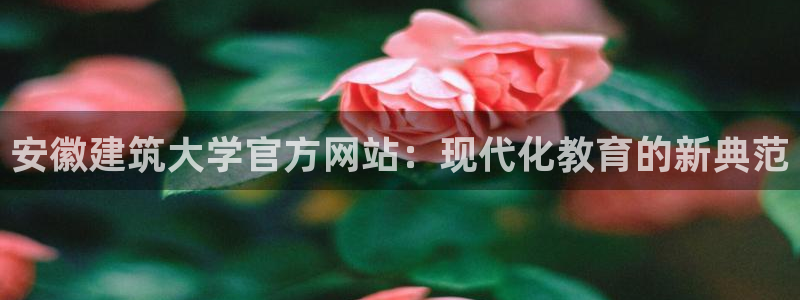新航娱乐公司招聘信息网