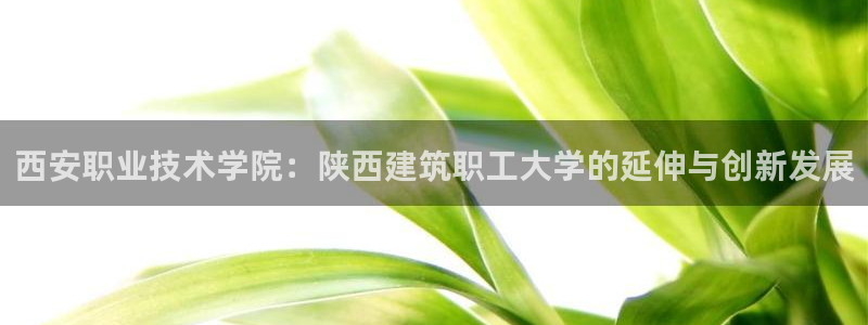 新航娱乐app下载安卓