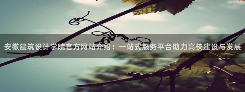 新航娱乐是正规平台吗：安徽建筑设计学院官方网站介绍：一站式服务平台助力高校建设与发展