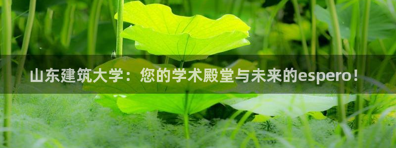 新航娱乐公司问题分析：山东建筑大学：您的学术殿堂与未来的espero！