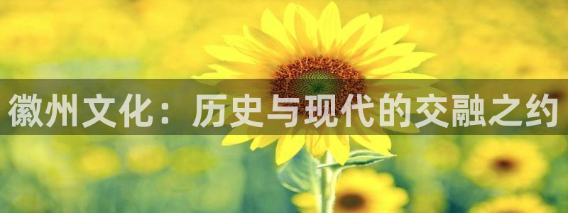 云顶新航国际娱乐城