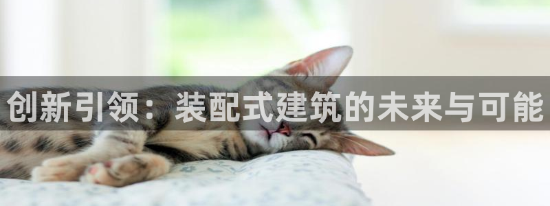 新航娱乐管理有限公司
