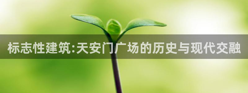 邯大新航娱乐