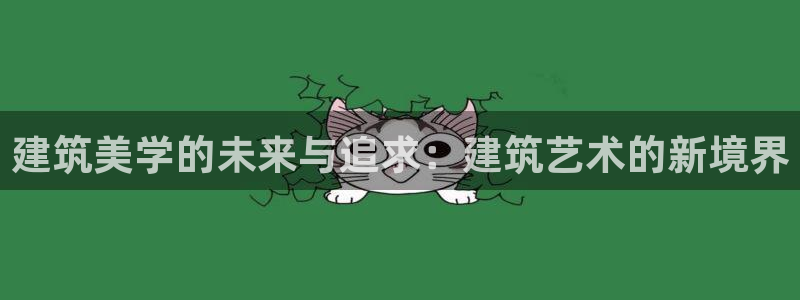 新航娱乐公司问题分析