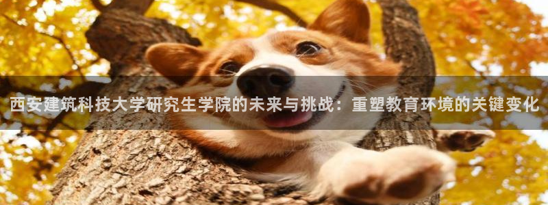 新航娱乐有限公司怎么样