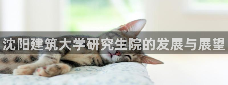 新航娱乐主管是谁：沈阳建筑大学研究生院的发展与展望